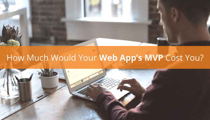 How Much Would Your Web App’s MVP Cost You