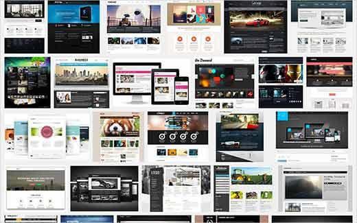 best cms for a business website-WordPress Themes