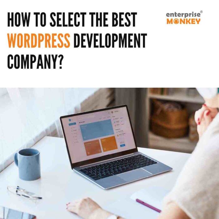 how to find the best wordpress development company?