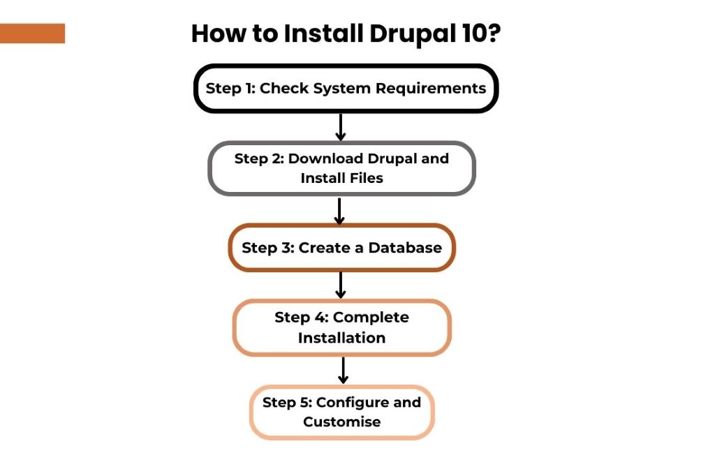 steps to install Drupal 10