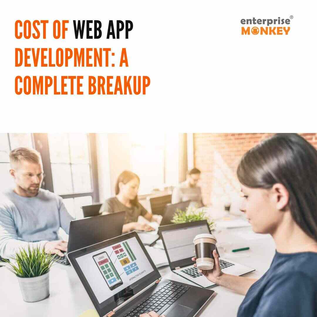 Web application development cost