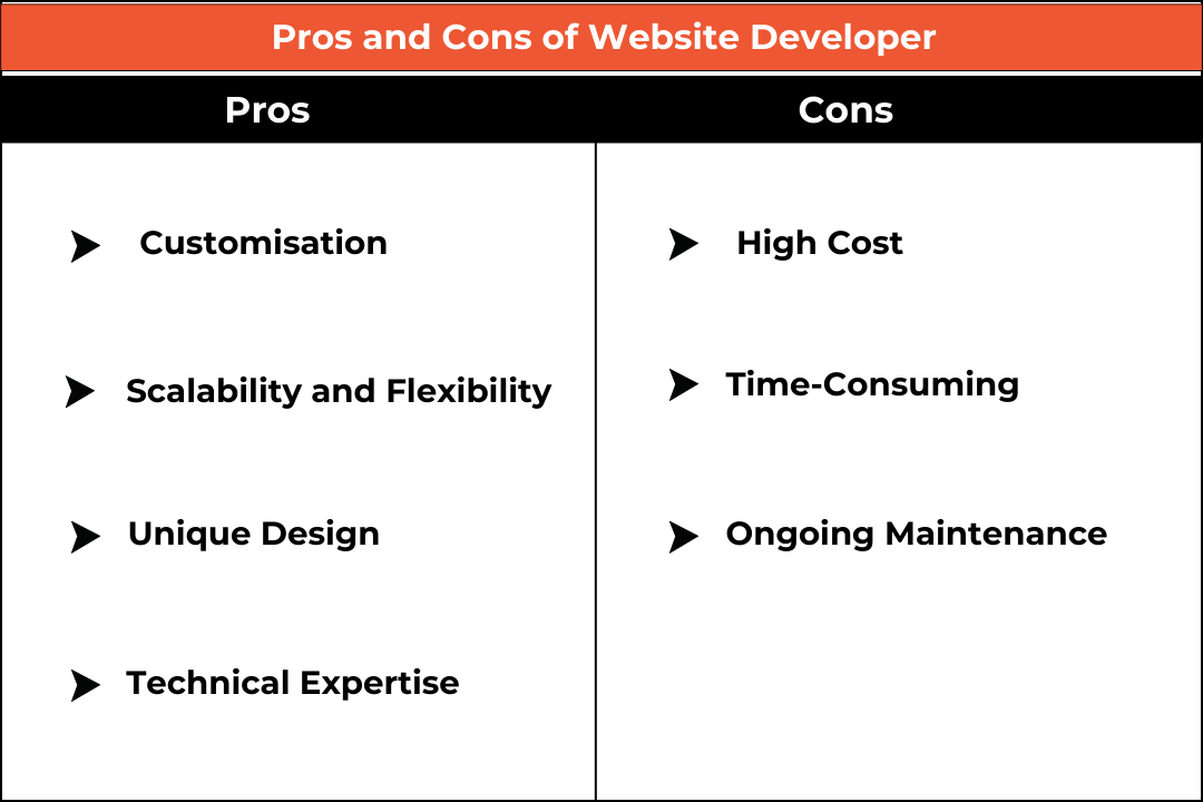 Pros and Cons of Website Developer